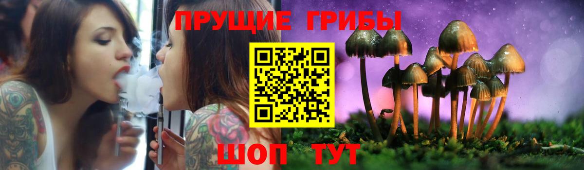 Псилоцибиновые грибы мицелий Звенигород